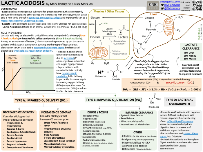 Icu one pager acid base