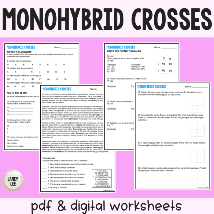 Monohybrid crosses practice answer key