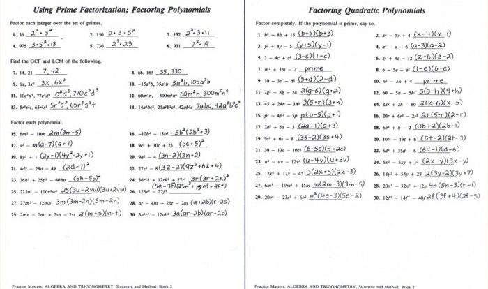 Algebra 1 mcdougal littell answers pdf