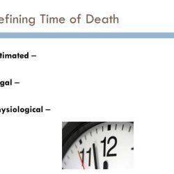 Time of death estimations worksheet