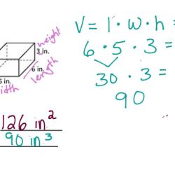 Surface area study guide answer key