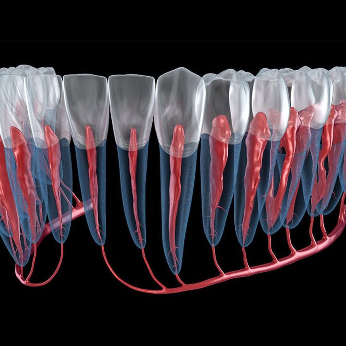 Root canal treatment procedure therapy dental tooth steps step endodontic cost does crown canals rct take much infection pulp teeth