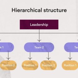 Organizational structure: assessing authentic brew